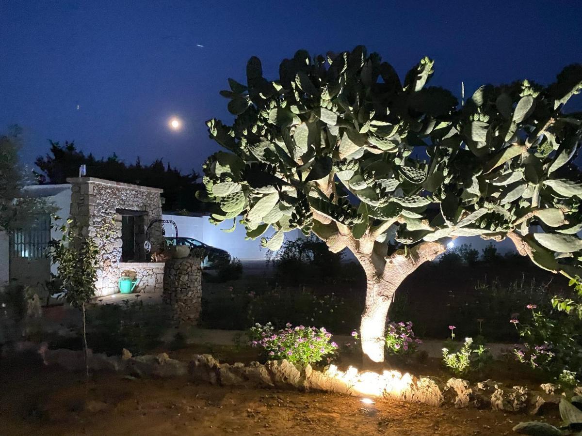 B&B Fellini Gallipoli Exteriér fotografie