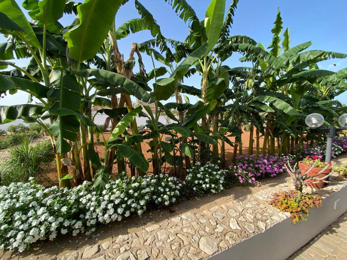 B&B Fellini Gallipoli Exteriér fotografie